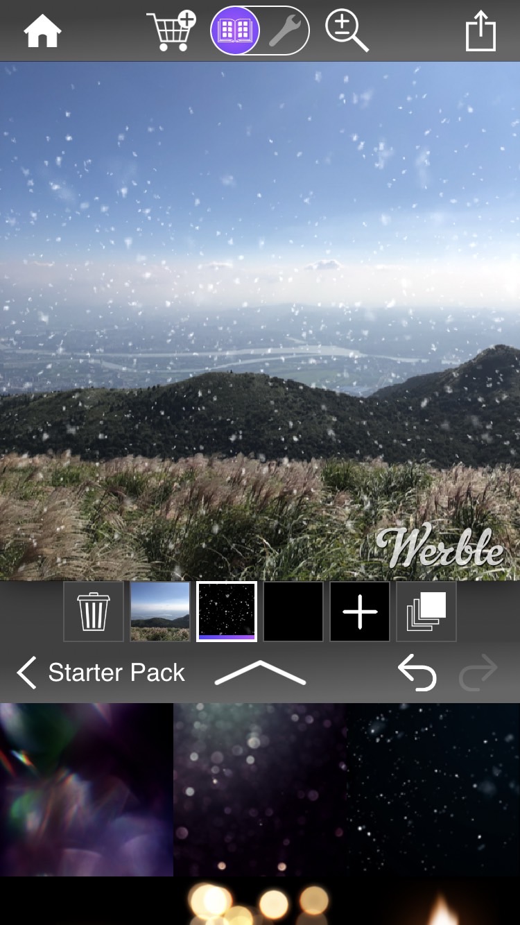 Werble interface